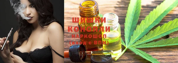 прущие грибы Волосово