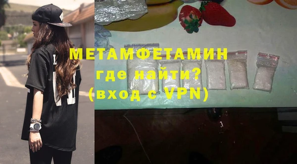 прущие грибы Волосово