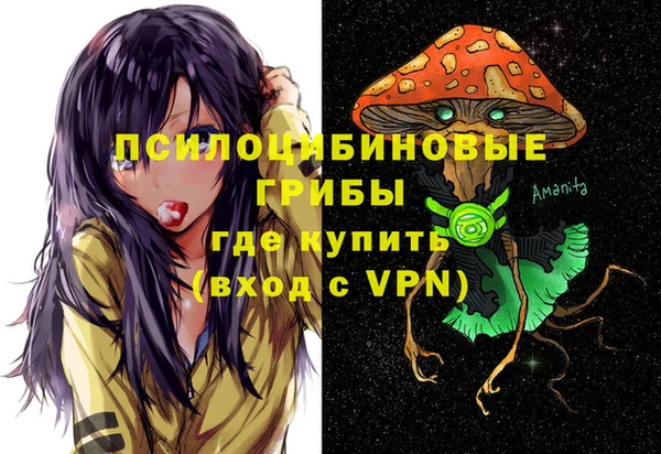 прущие грибы Волосово
