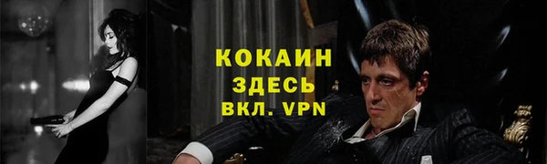 дживик Волоколамск