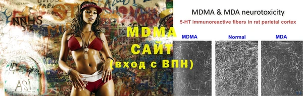 прущие грибы Волосово