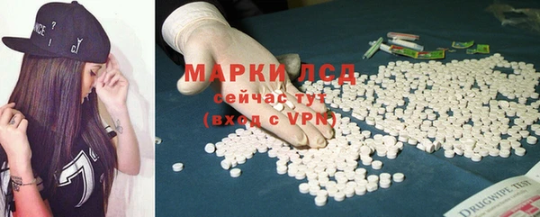 прущие грибы Волосово